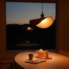 Modern Creative Arc Pendant Light