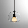 Chic Glass Pendant Light