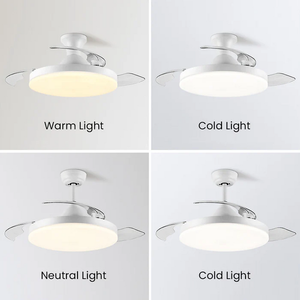 Sleek Flush Mount Ceiling Fan with LED Light