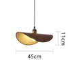 Modern Creative Arc Pendant Light