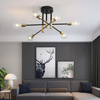 Chic Modern LED Ceiling lamp