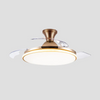 Sleek Flush Mount Ceiling Fan with LED Light
