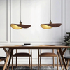 Modern Creative Arc Pendant Light