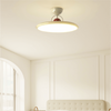 Tranquil Elegance Contemporary Ceiling Light
