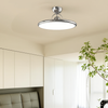 Tranquil Elegance Contemporary Ceiling Light