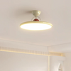 Tranquil Elegance Contemporary Ceiling Light